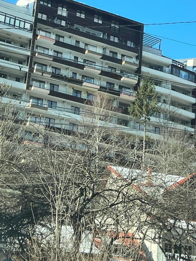 Coca Apart Mountain View Sinaia Exterior photo