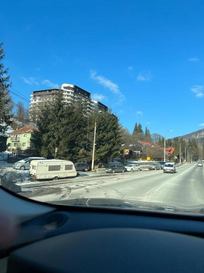 Coca Apart Mountain View Sinaia Exterior photo