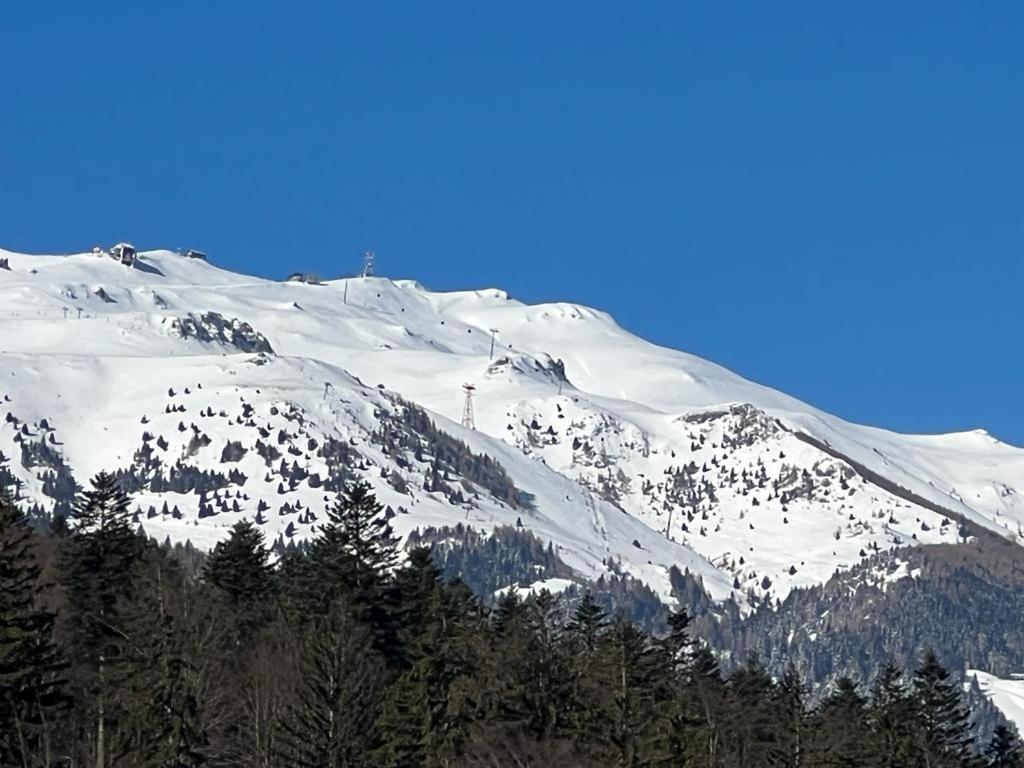 Coca Apart Mountain View Sinaia Exterior photo